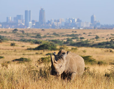 4_Day_Excursions_From_Nairobi