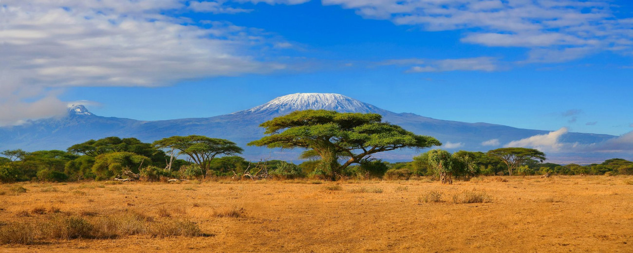 Amboseli Kilimanjaro View