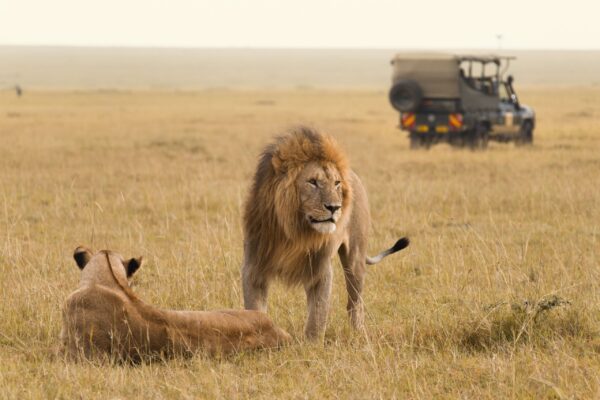 Exclusive masai mara safaris