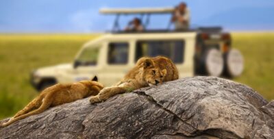 Safaris-in-Tanzania-Serengeti-National-Park