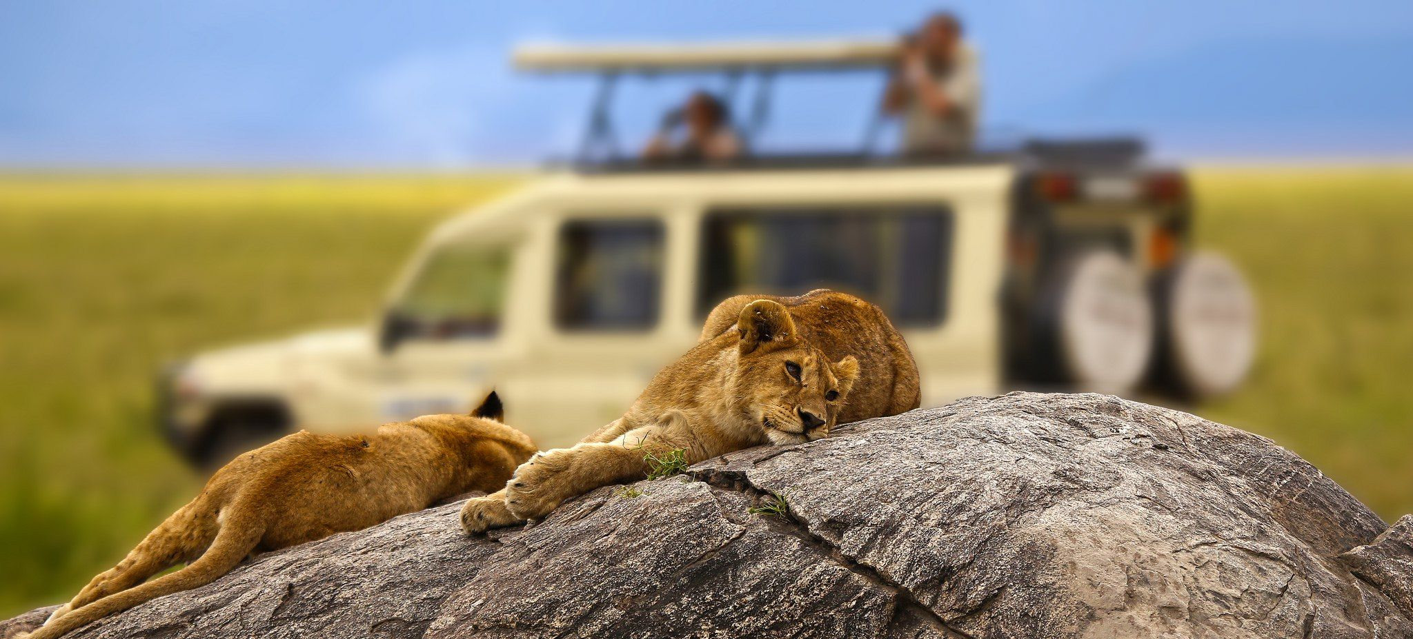 Serengeti national park 2021