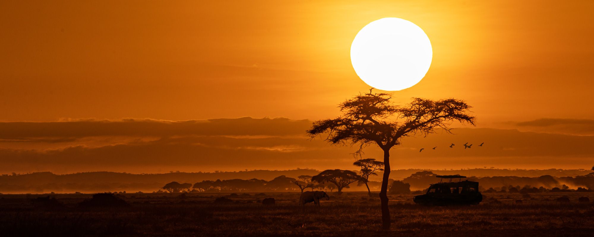 Sunset Masai Mara