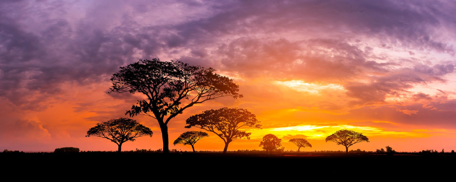 Sunset Masai Mara