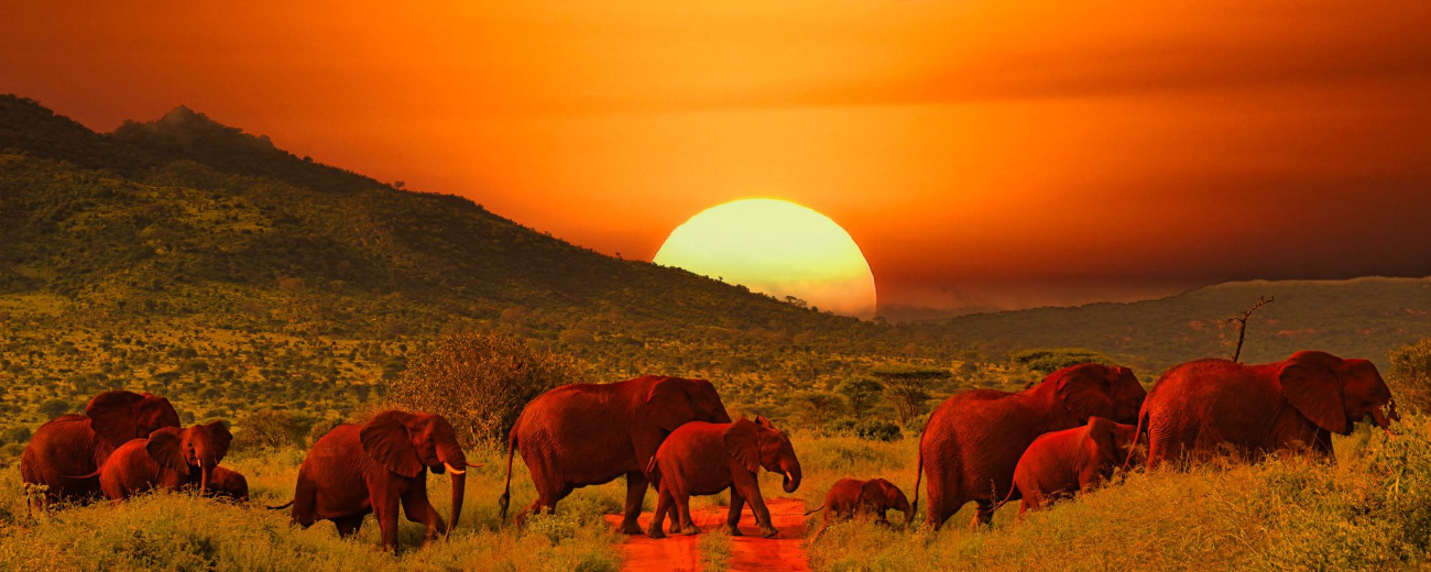 Amboseli Sunset